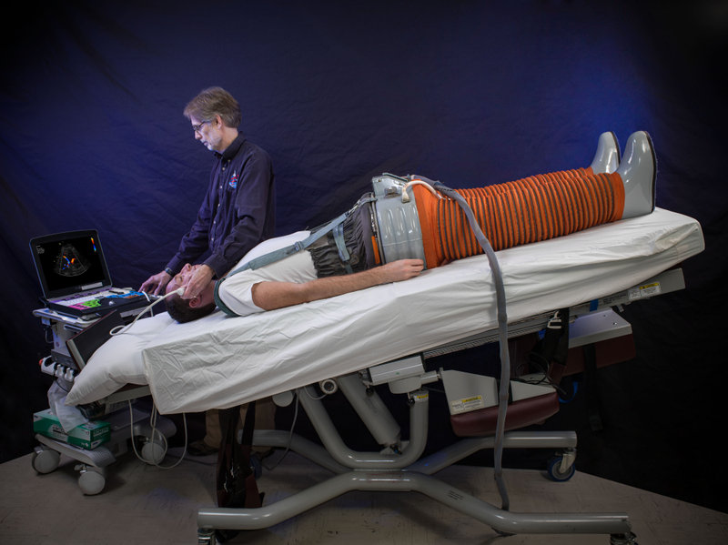 Illustration for article titled The Biggest Health Risks to Humans in Space